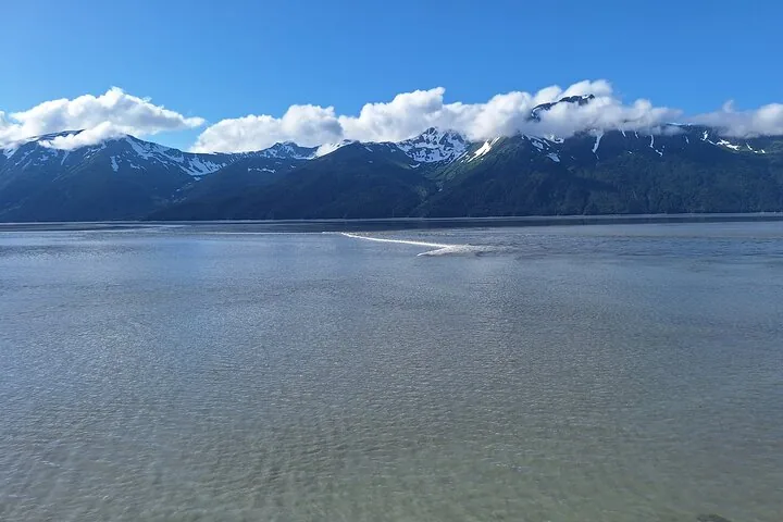 A wide view of a coastal inlet with snow-capped mountains in the background